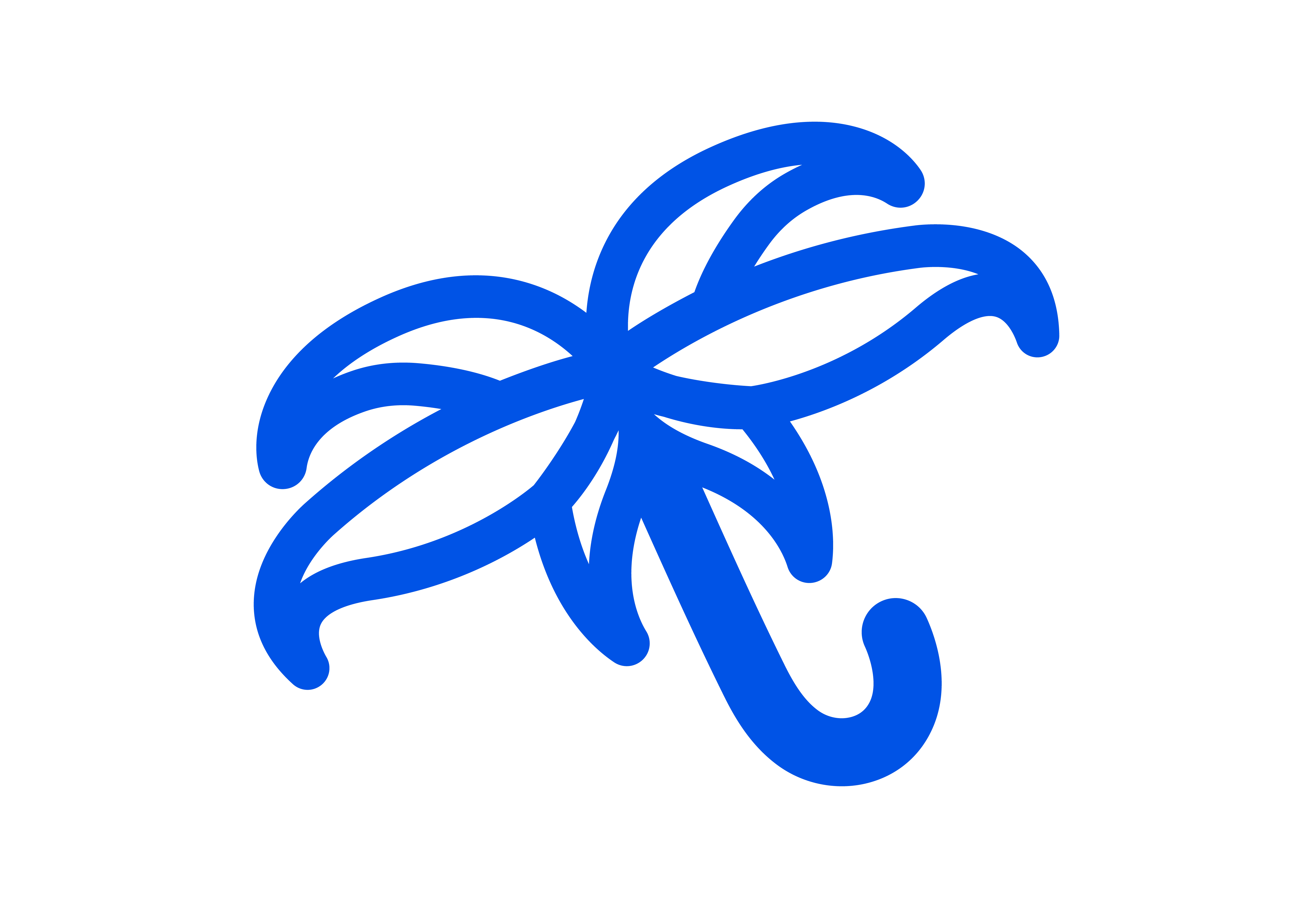 Blue Stephenson Water Restoration Logo